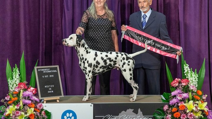Main fundraiser photo