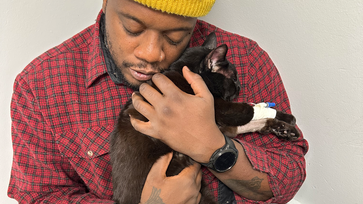 Help Midnight Fight for His Life campaign photo, 1 of 8