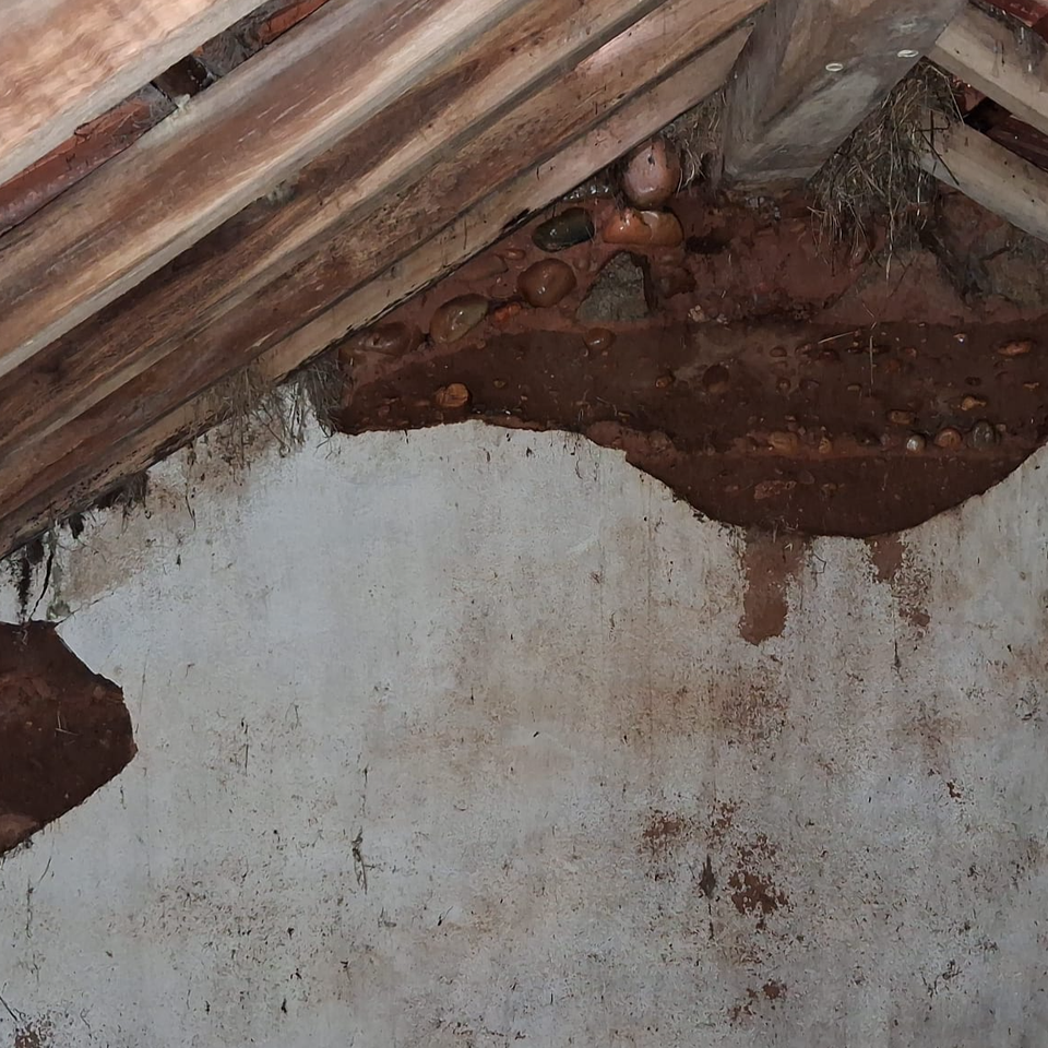 Reconstrução do meu telhado após as tempestades