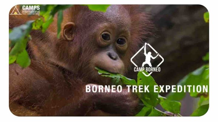 Camps International Borneo Expedition 2027 campaign photo, 1 of 5