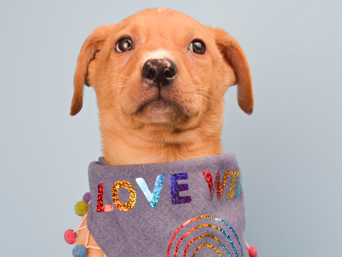 Fundraiser’s main image