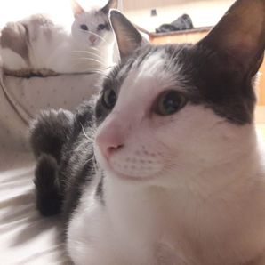 Cristina Pedraza Fernandez