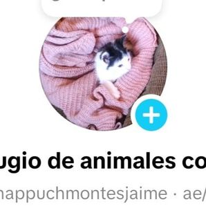 Refugio de animales con el corazón