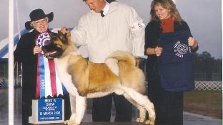 Main fundraiser photo