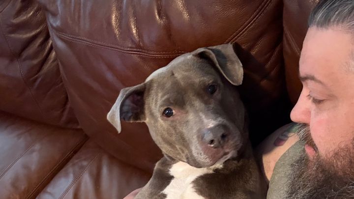 Help Harley Get Emergency Surgery campaign photo, 1 of 8