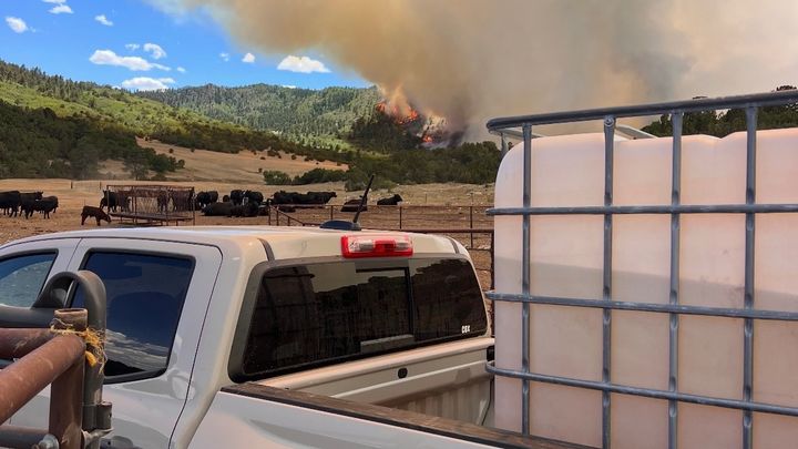 Support the Cox Family Ranch in Their Time of Need campaign photo, 1 of 7