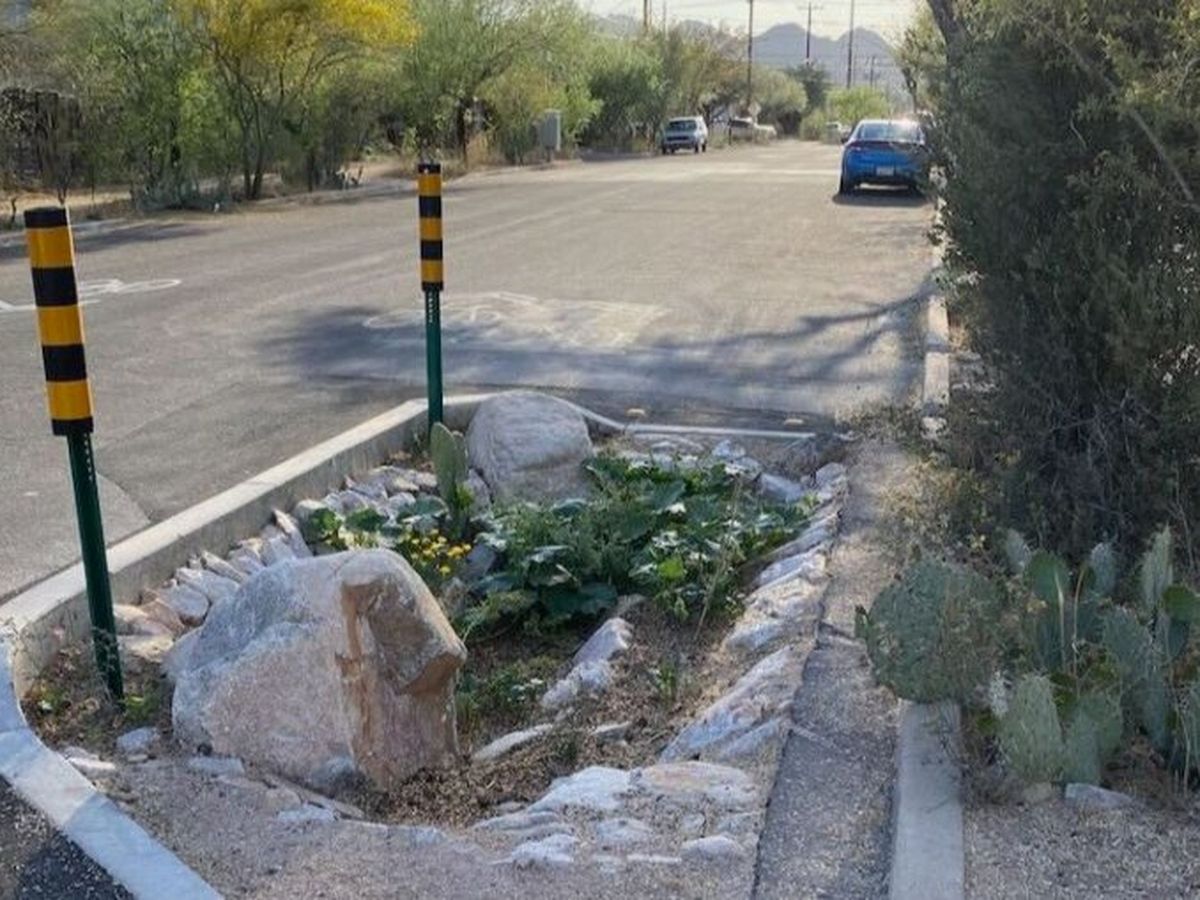 Help Menlo Park Install Stormwater Basins campaign photo, 1 of 3