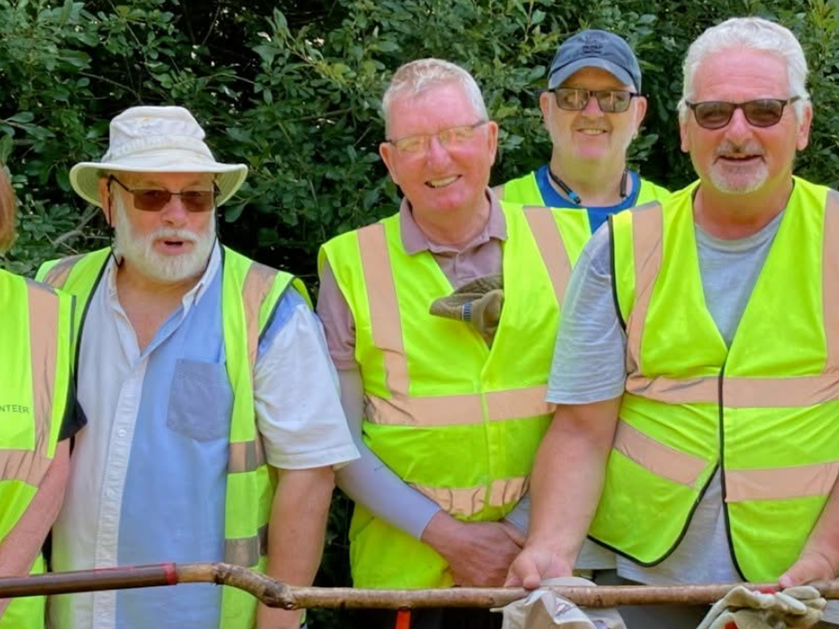 Help replace stolen tools campaign photo, 1 of 7