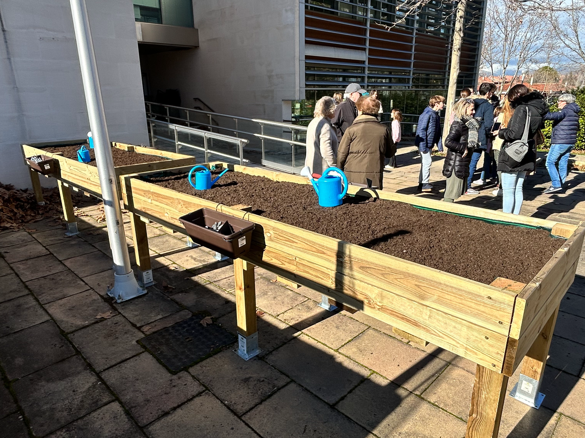 Eagle Scout Project - Accessible Raised Gardens campaign photo, 1 of 8