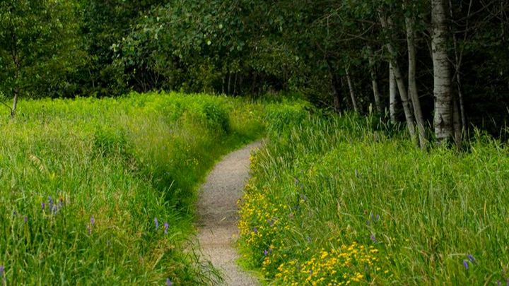 TBay Greenspace Preservation campaign photo, 1 of 3