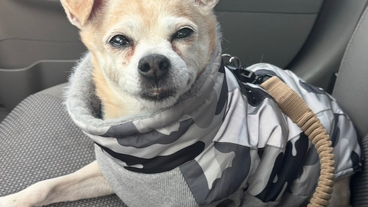Help Mr. Tex Get the Dental Care He Needs campaign photo, 1 of 3
