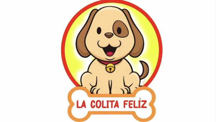 Supporting Stray Dogs in Need in Venezuela campaign photo, 1 of 3
