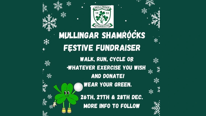 Shamrocks Family Festive Fundraiser 2025 campaign photo, 1 of 3