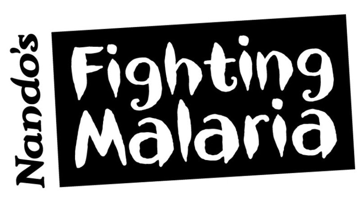 Fighting Malaria, Climbing Snowdon campaign photo, 1 of 4