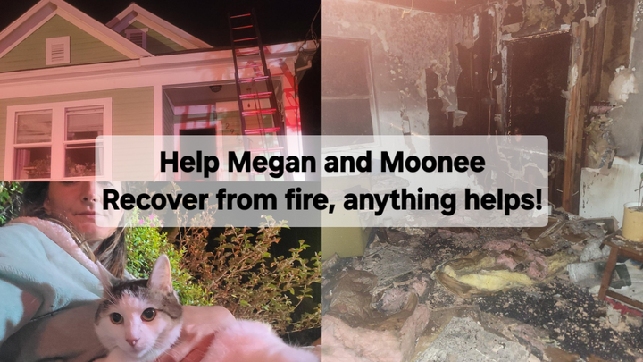 Megan & Moonee Safe, But Need Help campaign photo, 1 of 7