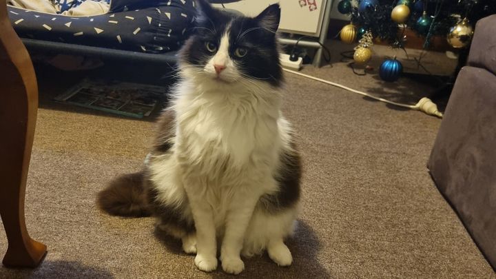 Main fundraiser photo