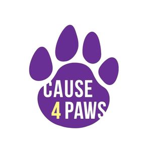 Cause 4 Paws