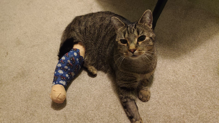 Spenden für ein kleines Kämpferherz: Hilft Snickers campaign photo, 1 of 6