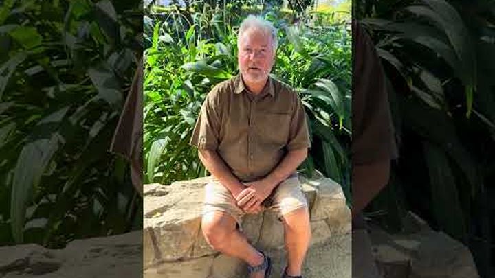From Near - Death to New Purpose : My Story video thumbnail, 1 of 8