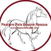 Alex Daniels of Pasture Pals Equine Rescue.