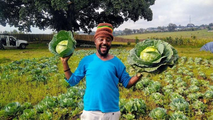 Photo de la campagne Help Save Tree of Life Eco-Farm & Camp, 1 sur 11