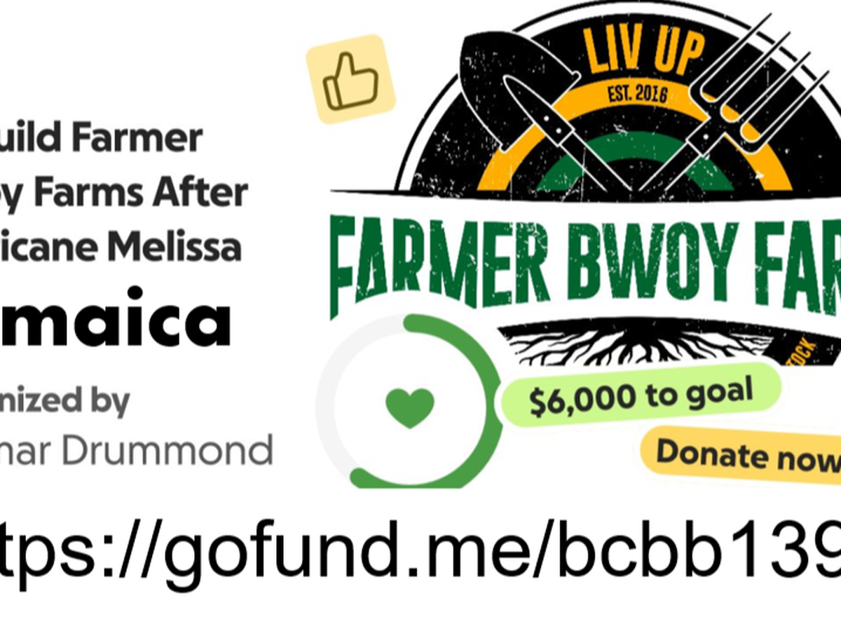 Fundraiser’s main image