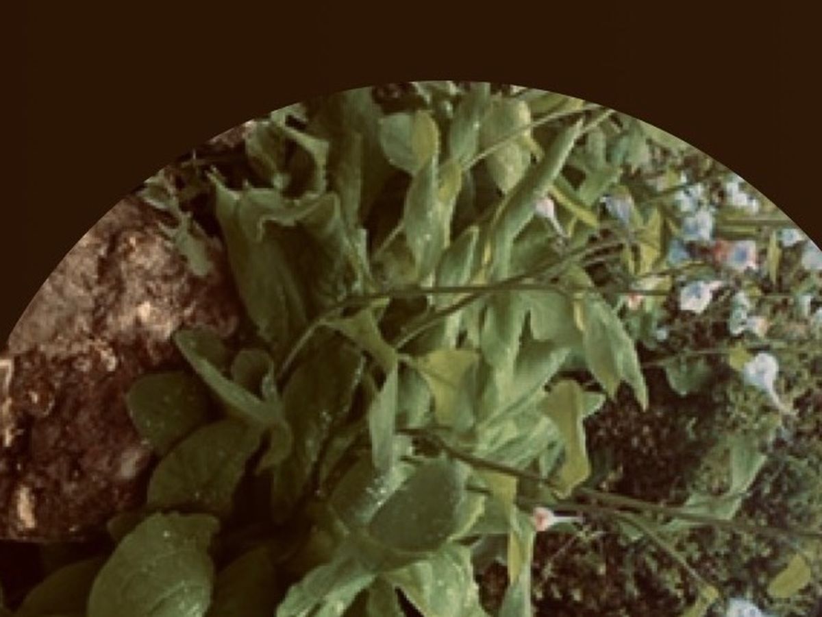 GoFundMe Complete Beginners Guide: How To Set Up A Campaign - Gofundme Charity Setup Guide For Personal Emergencies