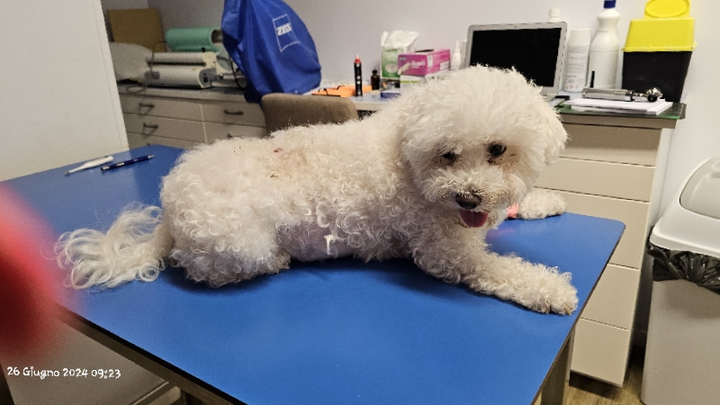 Main fundraiser photo