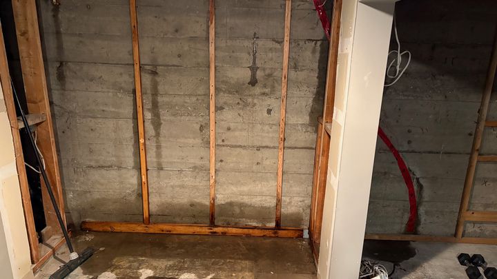 Home Basement Remediation and Repair campaign photo, 1 of 7