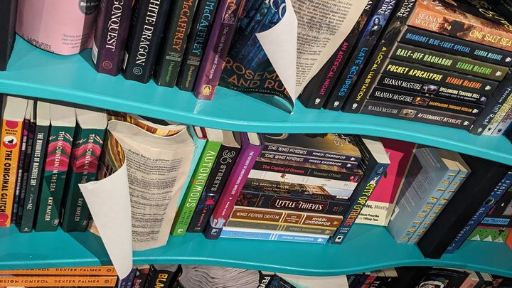 Help Wolfe & Kron Books Recover From Water Damage campaign photo, 1 of 8