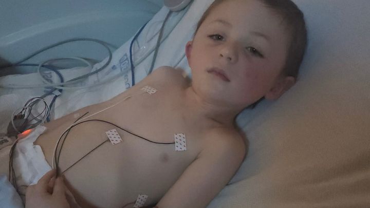 Support Declan After Large Tree Branch Accident campaign photo, 1 of 7