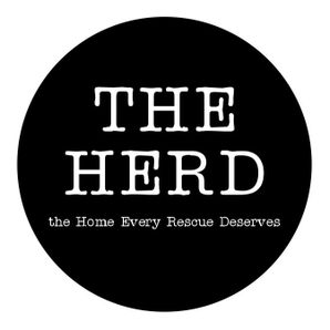 TheHerd House
