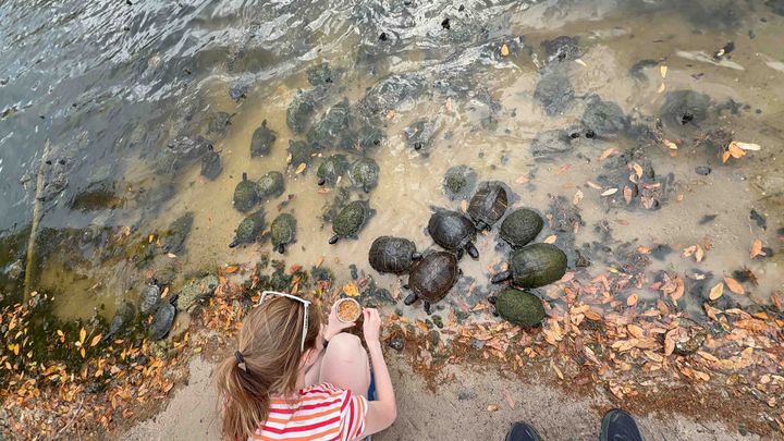 Help Us Save Ecosystems Keystone Species Reside On! campaign photo, 1 of 5