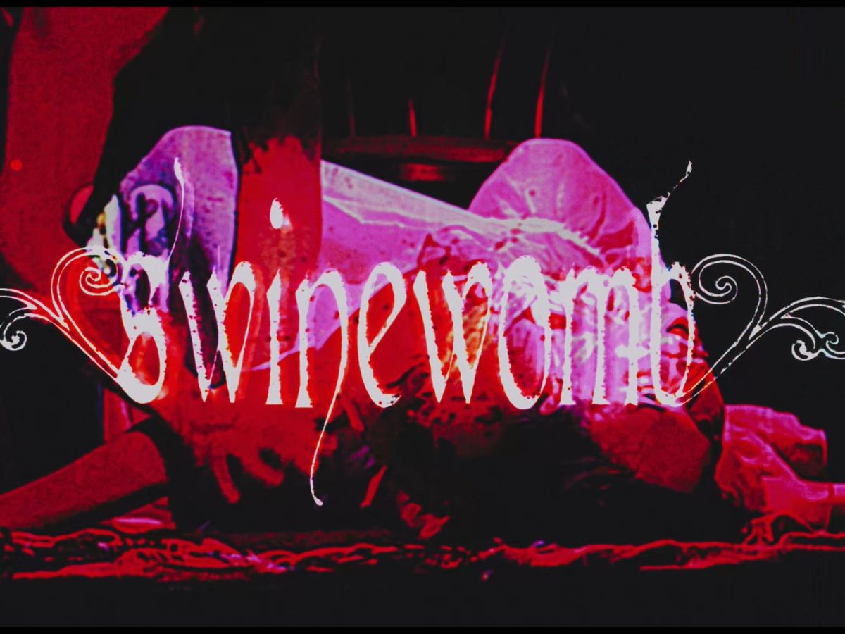 SWINEWOMB: SECOND COMING campaign photo, 1 of 8