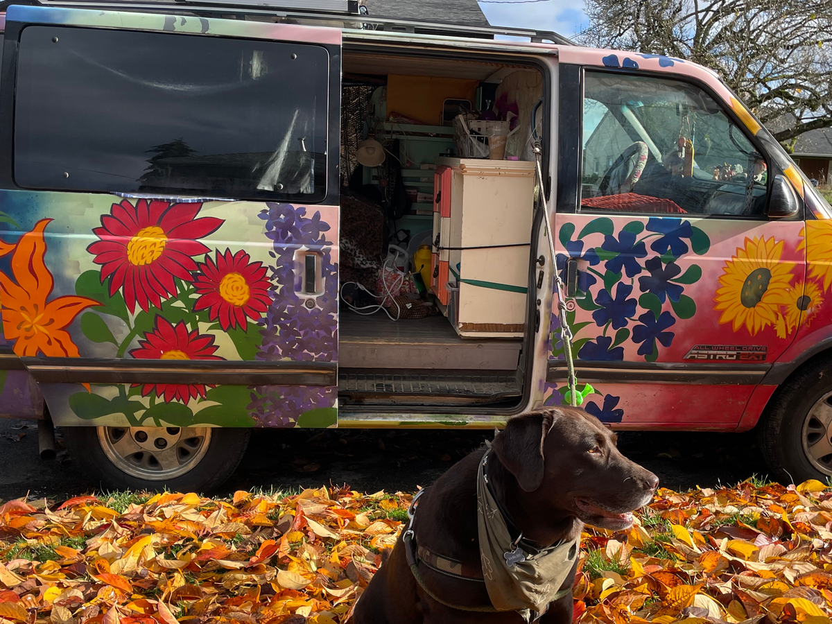 Stranded Far From Home With My Dog, Emmergency Car Repairs campaign photo, 1 of 8