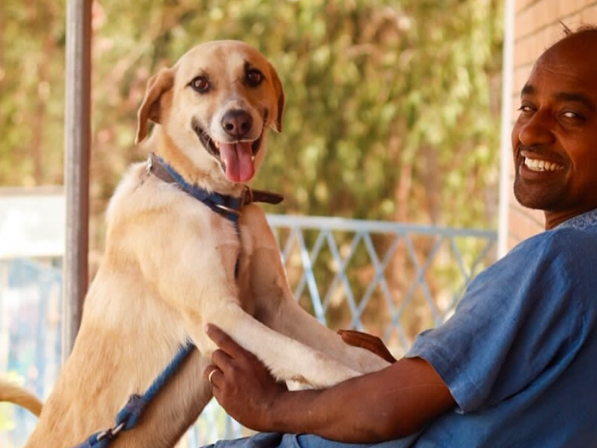 Support an incredible dog shelter with medical & food bills campaign photo, 1 of 8