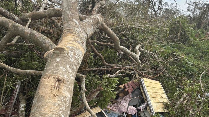 Help Restore Homes in Grange Hill, Westmoreland Jamaica campaign photo, 1 of 4