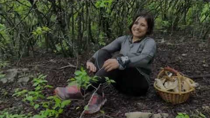Foto principal de la recaudación de fondos
