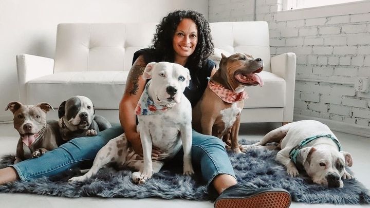 Vet bill aid for dogs suffering from Influenza campaign photo, 1 of 2