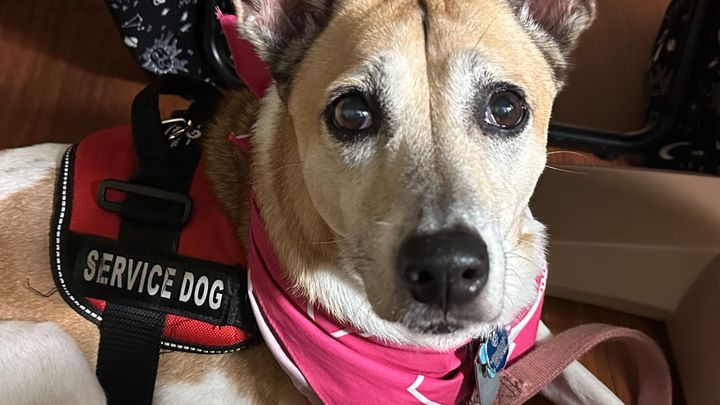 Help Stacey Honor Charlii & Continue Her Journey campaign photo, 1 of 8