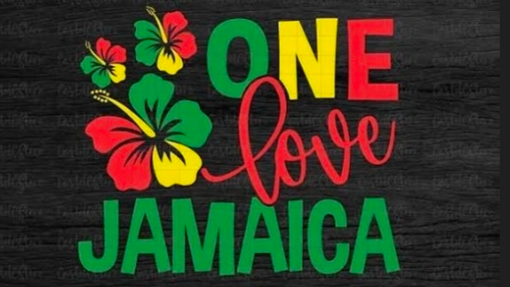 Jamaica Hurricane Melissa Aftermath Recovery campaign photo, 1 of 8