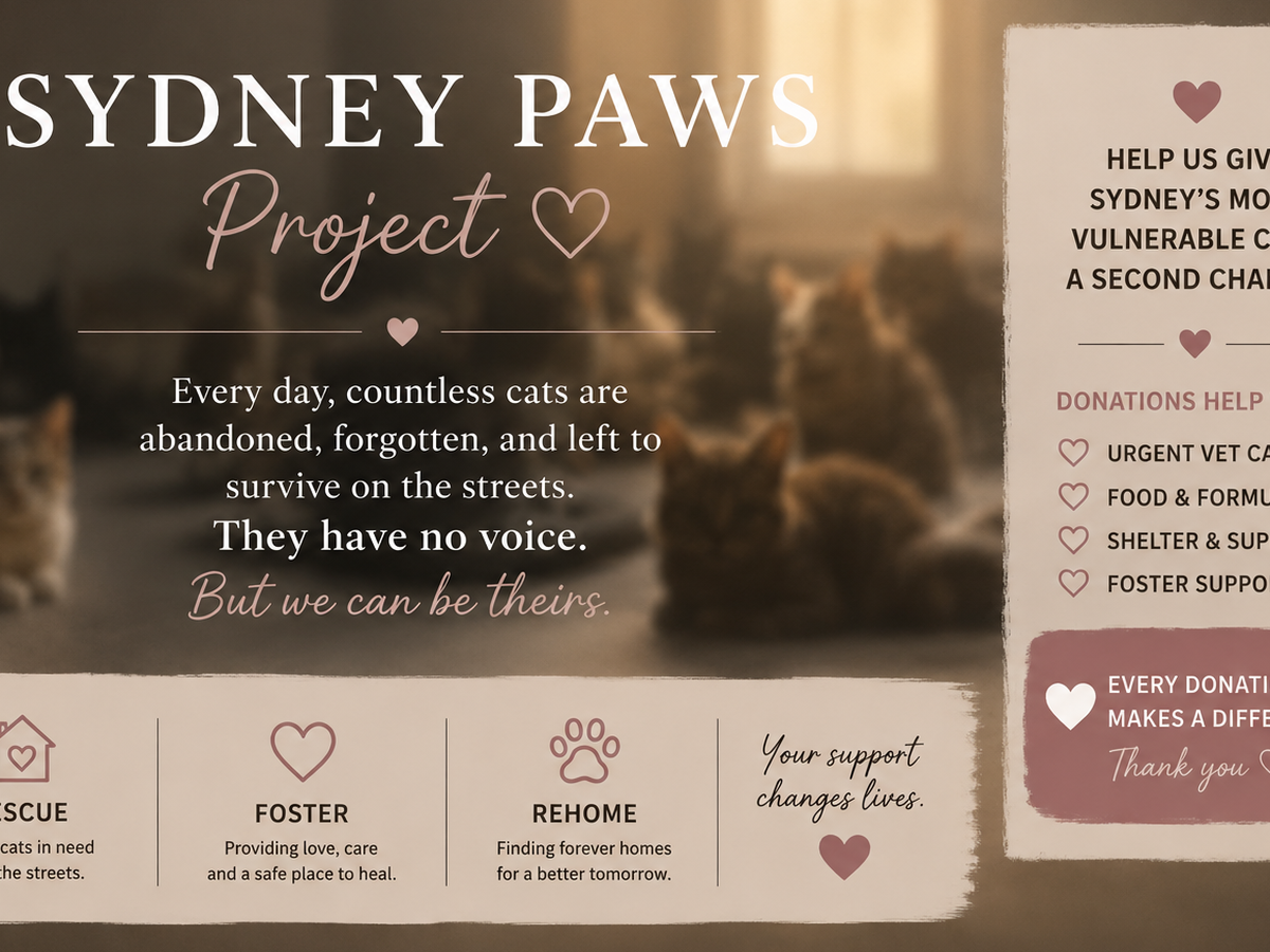 Fundraiser’s main image