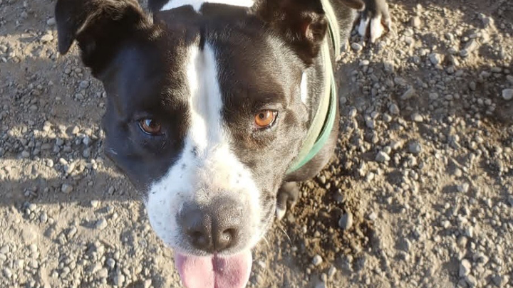 Help Babygurl Get Life-Saving Surgery campaign photo, 1 of 7