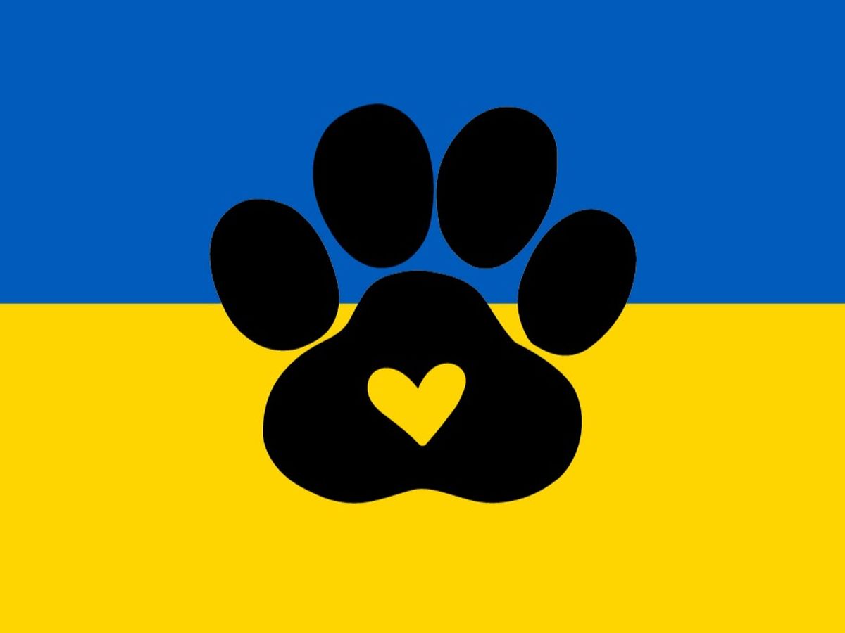 Fundraiser’s main image