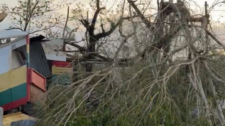 Rebuild St. Elizabeth: Aid for Families after the hurricane campaign photo, 1 of 3