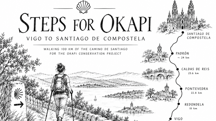Steps for Okapi – Walking the Camino de Santiago for Okapi campaign photo, 1 of 3