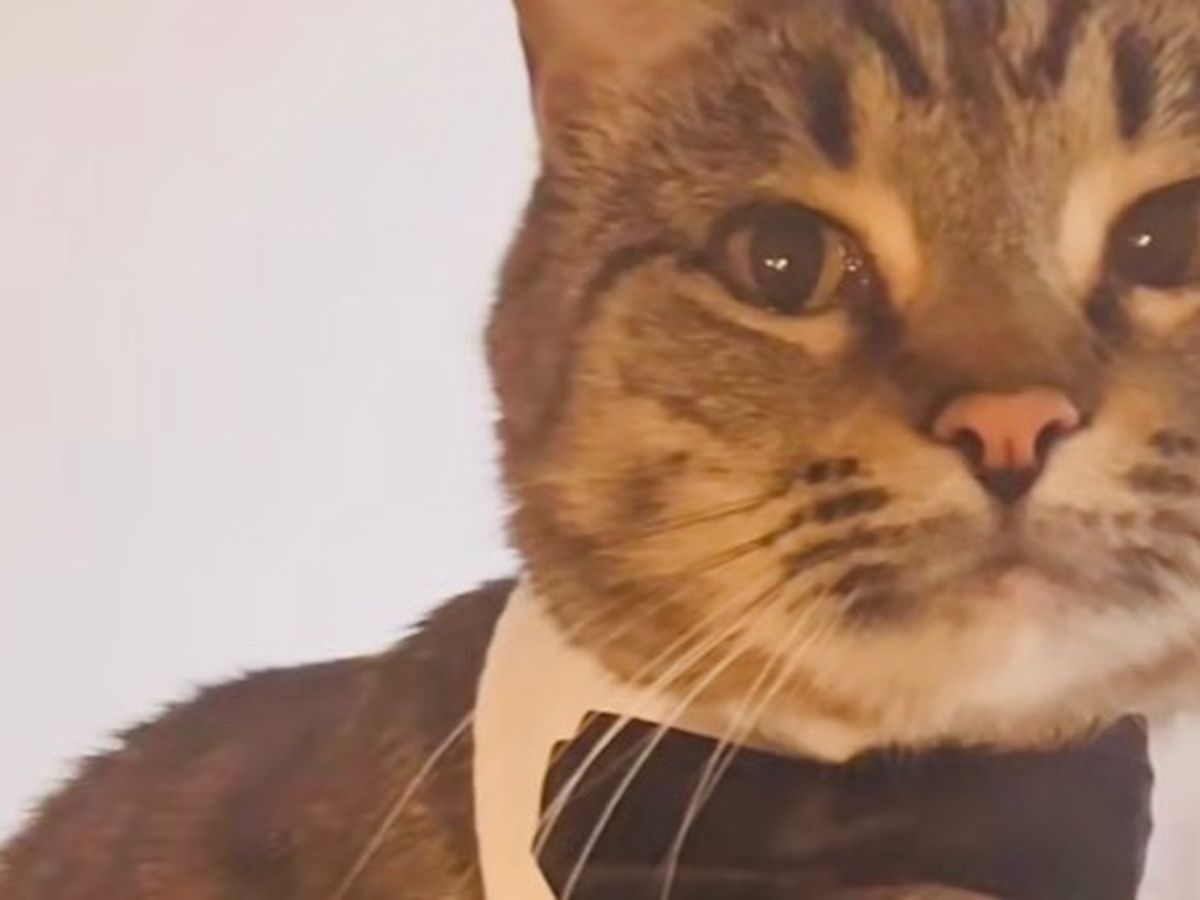 Fundraiser’s main image