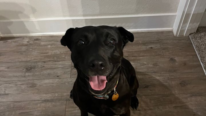 Hauptbild des Spendenaufrufs