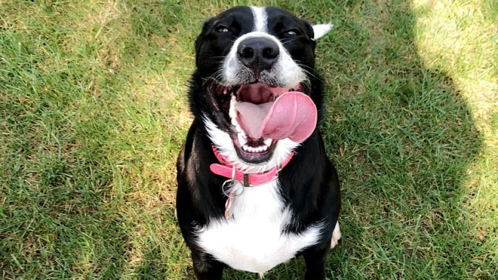 Mya’s Journey to Healing: Your Support Matters