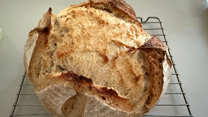 Love on the Rise: Fundraiser for Gaza campaign photo, 1 of 3